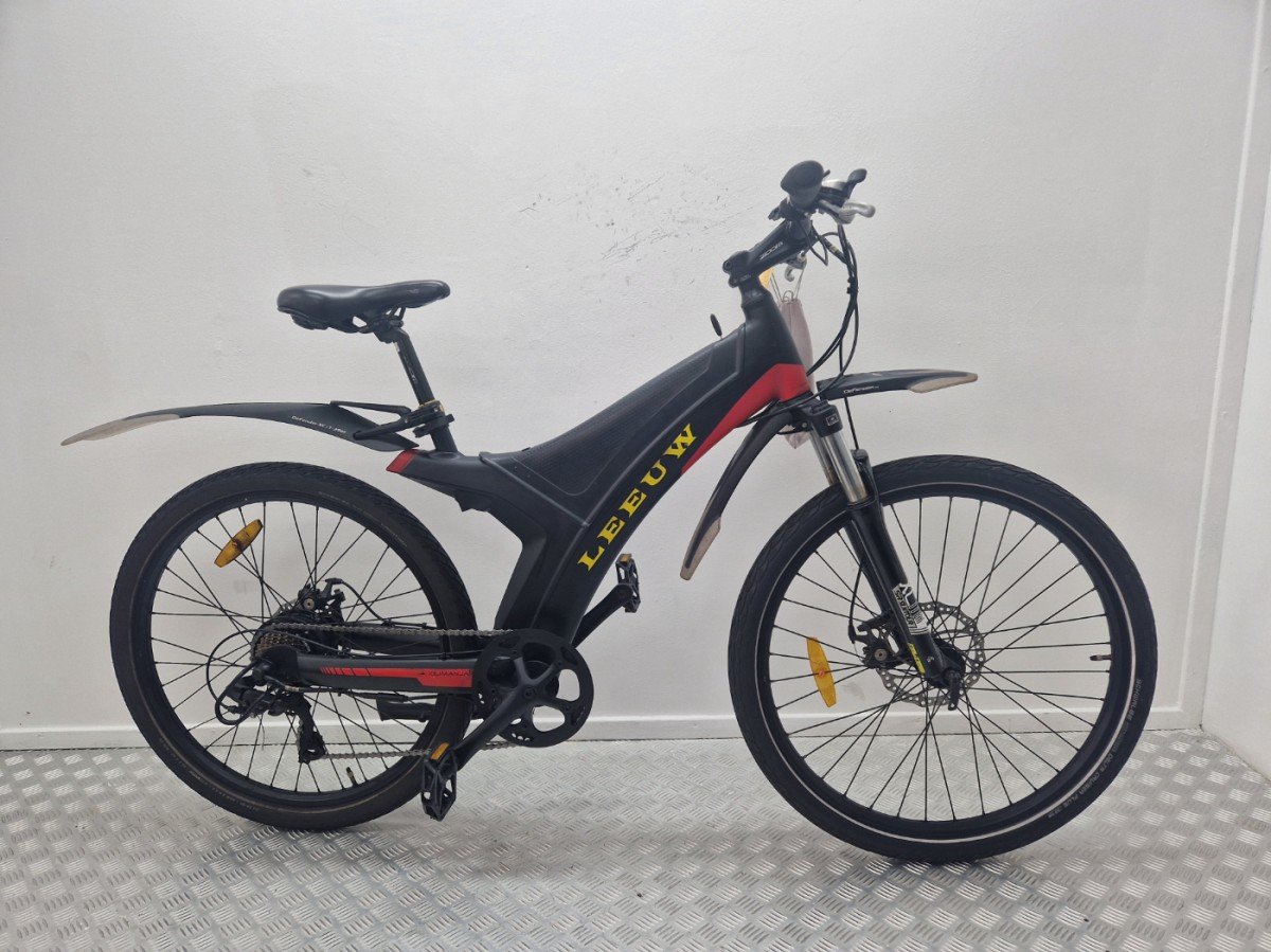 Foto van Leeuw Elektrisch Mountainbike 50cm tweedehands achterwielmotor via Budget Bike